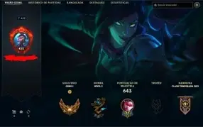 conta com 345 skins