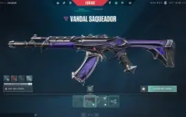 Conta Valorant com Várias Skins, Nível 104!