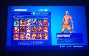 Conta fortnite rara( wonder, éon e rogue spider) full acesso