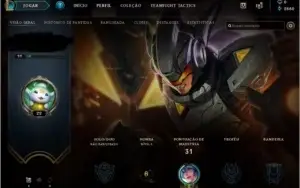 conta lvl 22  projeto leona  fnatic janna11 champs