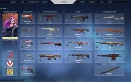 Conta de Valorant com 1500 em skins passes e cards