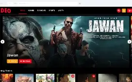 Video Streaming (TV Shows, Movies, Sports, Videos, TV)