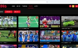 Video Streaming (TV Shows, Movies, Sports, Videos, TV)