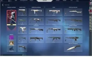 CONTA DIAMANTE 1 SINCE S6 + CONTA OURO VALORANT C/SKINS