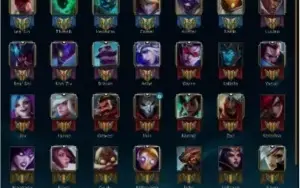 Conta Platina V