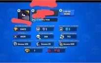 54/54 Brawlers | 47 Skins | 33K Troféus | Fang e Meg PODER11