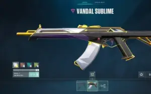 Conta valorant com várias skins