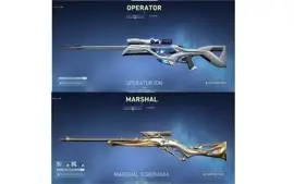 CONTA DE VALOTANT FULL SKIN