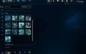 Mestre com 25 Champs e 13 Fragmentos de Skins