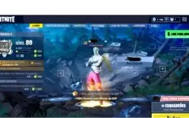 Conta Perfeita para quem quer Levar o Jogo a Serio !