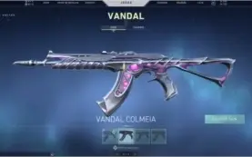 Valorant Account, Skins LINDISSIMAS e SUPER raras
