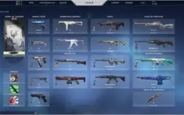 conta desde o beta varias skins +500r$ gasto rank imortal