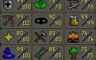 Conta 1953 total lvl maxed melee 4 pets e 70M na acc