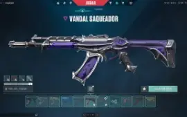Conta Valorant com Skins de Champions