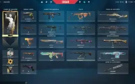 Conta Valorant - Várias Skins, email transferível