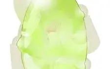 Dofus Cenouwa ( Spiritia ) + Brinde