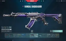 Conta Valorant Ascendente, Diversas Skins E Radianitas