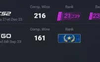 Conta Steam 8 Anos de Serviços CS 2 PRIME RANK 23K E DAYZ