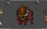 Tibia Rp 159 - Kalibra Npvp