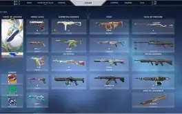 Conta Valorant/ 2 Skins Finalização/ Faca RGX