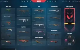 Conta valorant com varias skins raras
