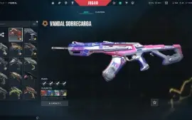 Conta valorant com varias skins raras