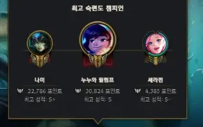 Acc Mestre 39 Pdl Flex