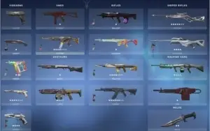 Conta valorant com rgx e saqueadora + conta LOL 96 skins