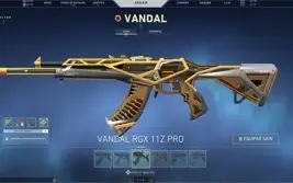 **CONTA VALORANT BUTTERFLY RGX VANDAL DRAGAO E RGX ETC**