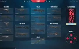 Conta FA Valorant com faca lvl 16