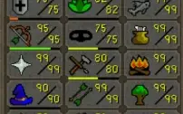 Conta Runescape Oldschool Com 7 Skills 99 E + 220M