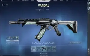 Conta de Valorant com varias skins com email