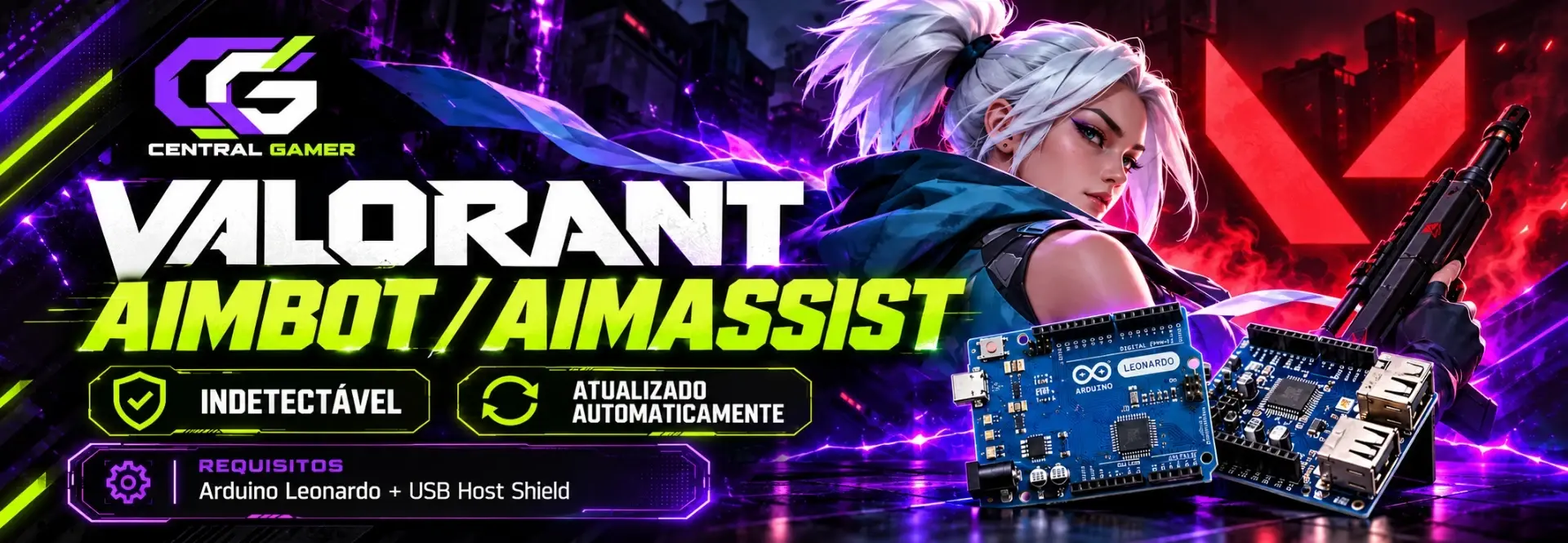 Valorant — Aimbot + AimAssist | Central Gamer