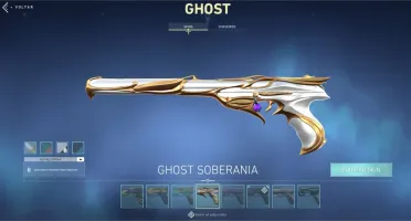 Conta Valorant Pack Saqueador e Singularidade + Várias Skins