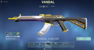 Conta Valorant Pack Saqueador e Singularidade + Várias Skins