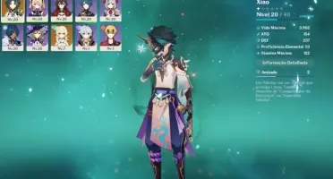 AR 20 XIAO