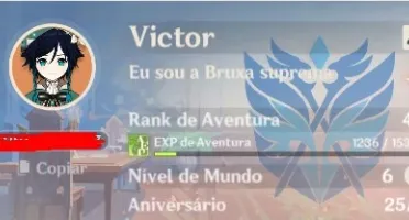 Vendo conta com keqing + venti ar 45 com resinas