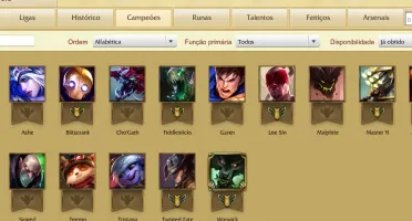 CONTA LV30 16 CHAMPS E 1 SKIN
