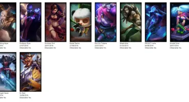 CONTA MESTRE 63 CHAMPS 13 SKINS