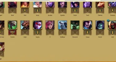 CONTA MESTRE 63 CHAMPS 13 SKINS