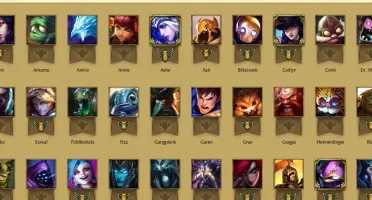 CONTA MESTRE 63 CHAMPS 13 SKINS