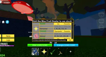 Conta Blox Fruits Custo Benefício