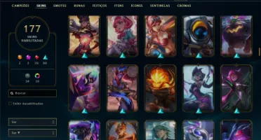Bronze 1 com 135 Champs e 177 Skins ( ADC / SUP )