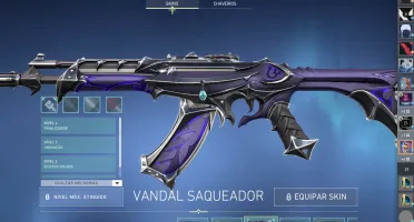 Conta de Valorant -- 600 reais gastos e junto a Conta de LOL