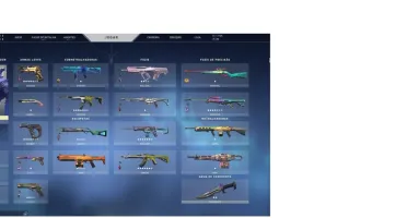Conta Valorant - IMORTAL/RADIANTE - COM MUITAS SKINS