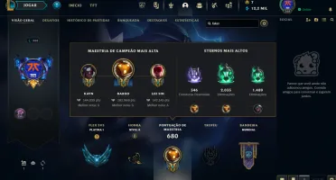 Conta Com 10 Anos - 336 Skins - Todos Champions - Plat 1