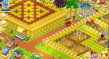 Conta Hay Day