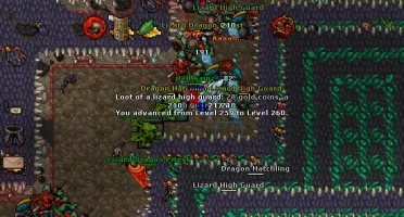 VENDO ELDER DRUID