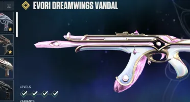 Conta Valorant