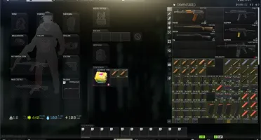 Conta de Escape From Tarkov